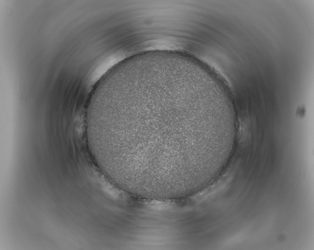 X0000090470874200707272256