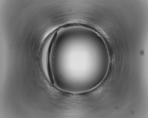 X0000090470877200707272256