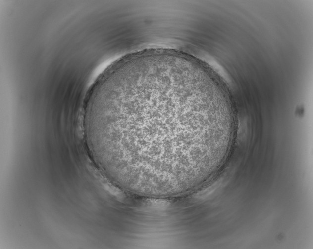 X0000090470878200707272256