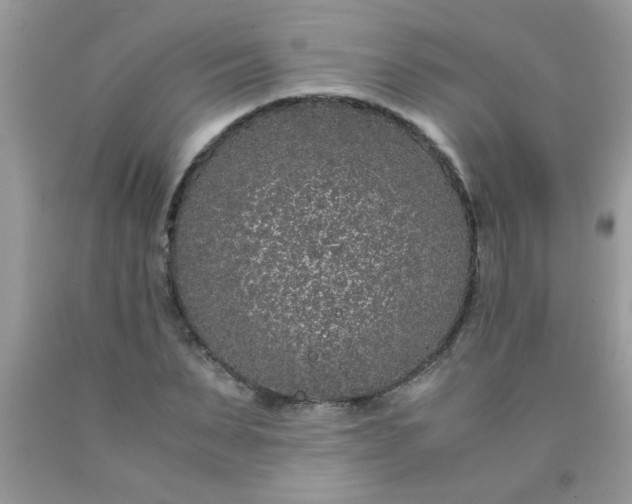 X0000090470879200707272256