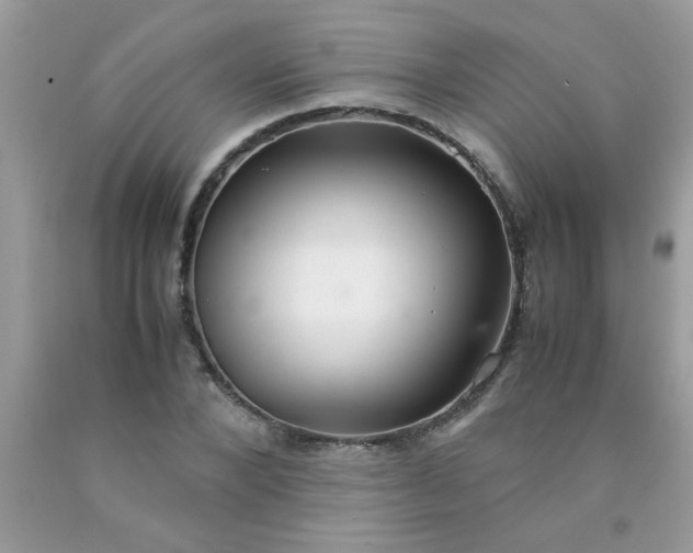 X0000090470880200707272256