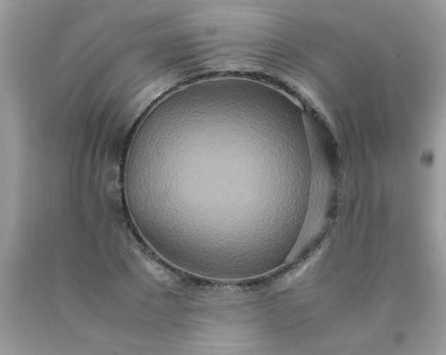 X0000090470881200707272256