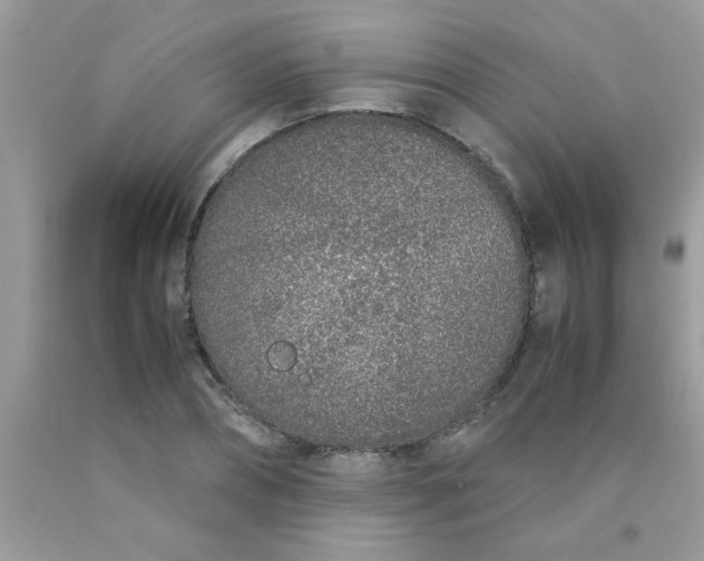 X0000090470882200707272256