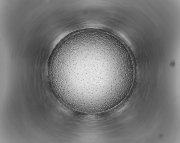 X0000090470883200707272256