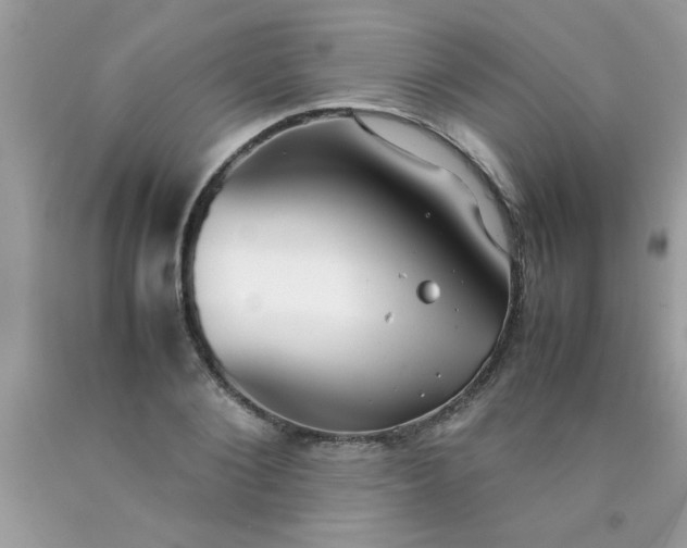 X0000090470884200707272256