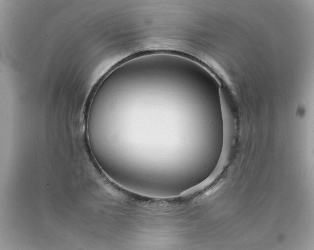 X0000090470885200707272256