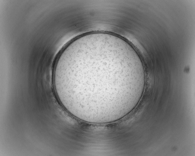 X0000090470886200707272256