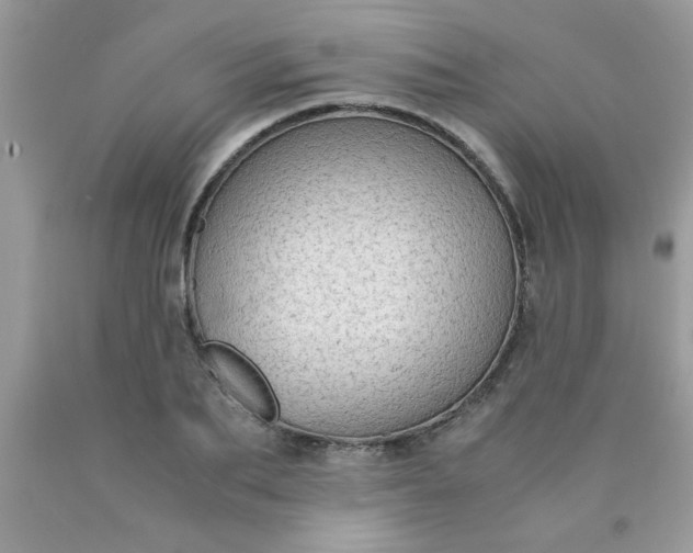 X0000090470887200707272256