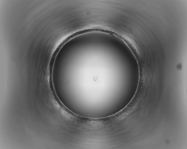 X0000090470888200707272256