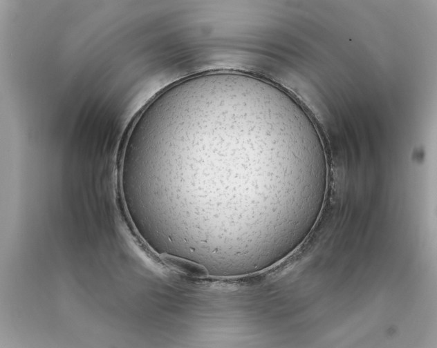 X0000090470890200707272256