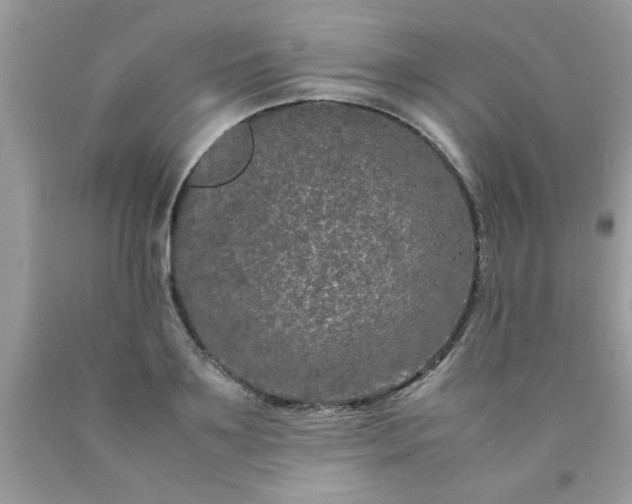 X0000090470891200707272256