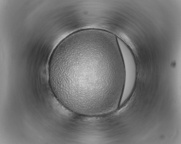 X0000090470892200707272256