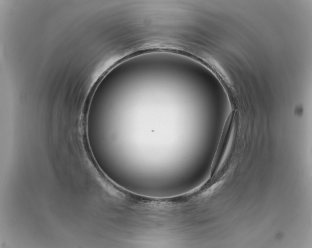 X0000090470893200707272256