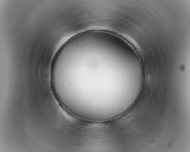 X0000090470894200707272256