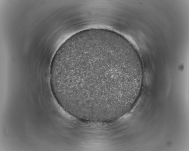 X0000090470895200707272256