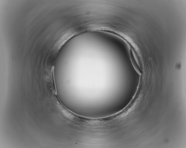 X0000090470897200707272256