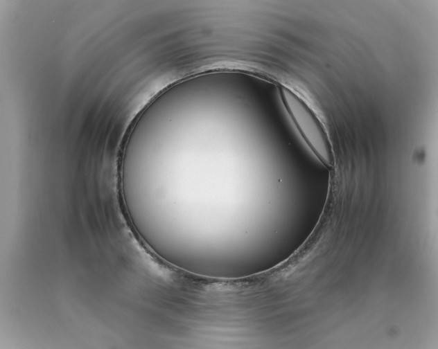 X0000090470898200707272256