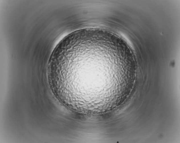 X0000090470899200707272255