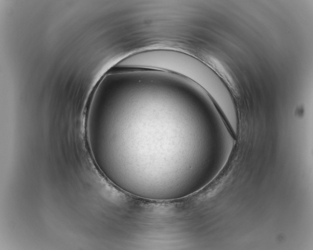 X0000090470900200707272255