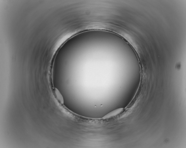 X0000090470901200707272255