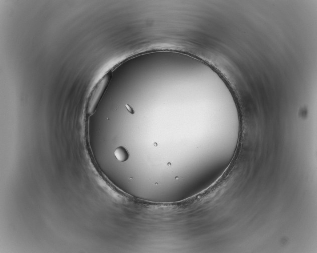 X0000090470902200707272255