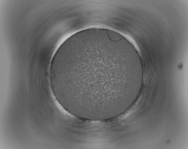 X0000090470903200707272255