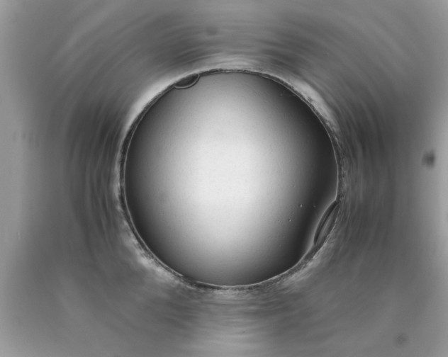 X0000090470904200707272255