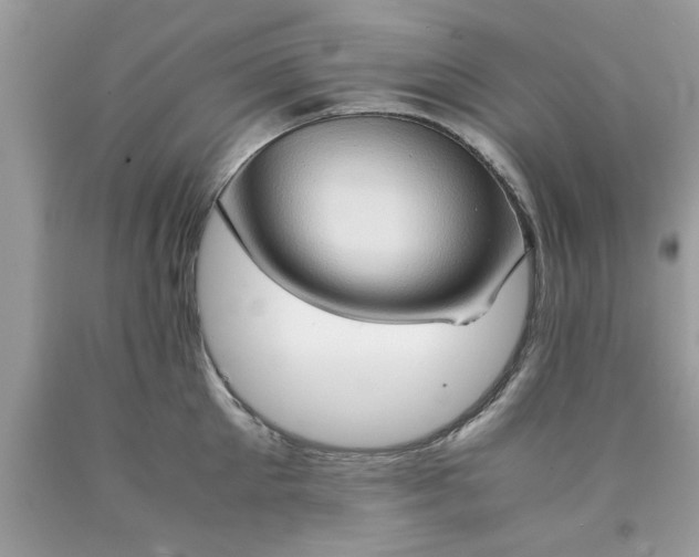 X0000090470905200707272255