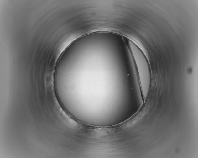 X0000090470906200707272255