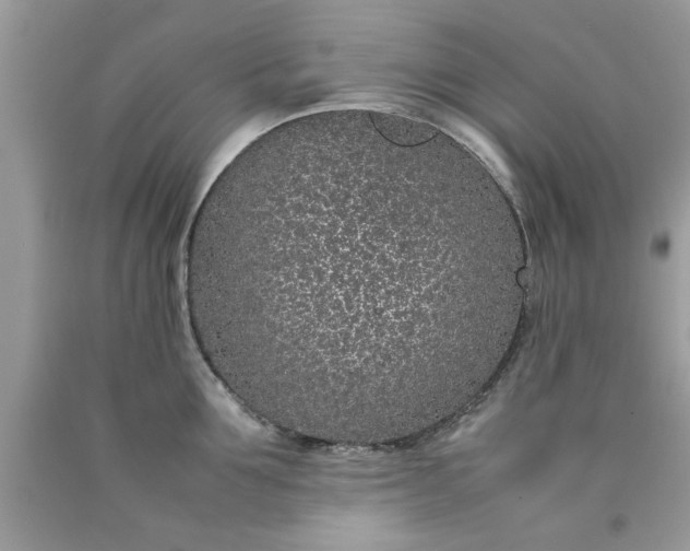 X0000090470907200707272255