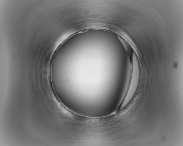 X0000090470909200707272255