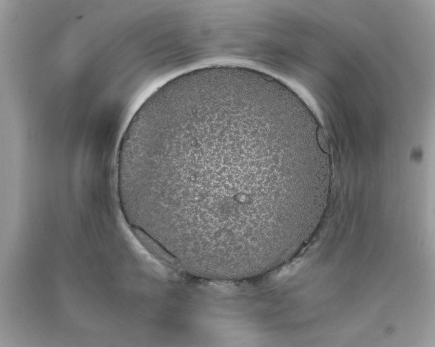 X0000090470911200707272255