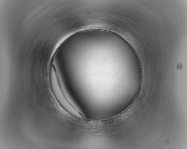 X0000090470912200707272255