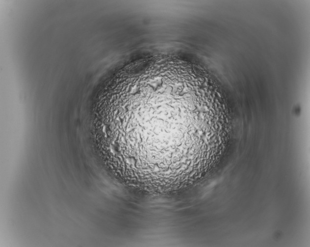 X0000090470913200707272255