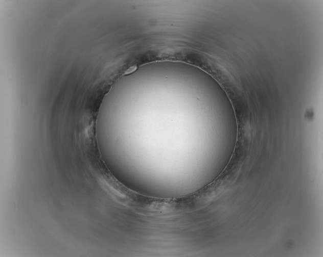 X0000090470914200707272255