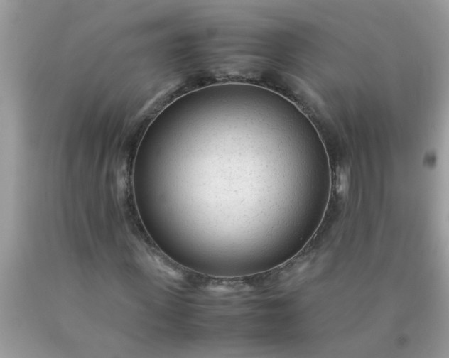 X0000090470915200707272255