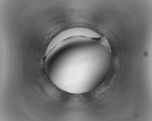 X0000090470916200707272255