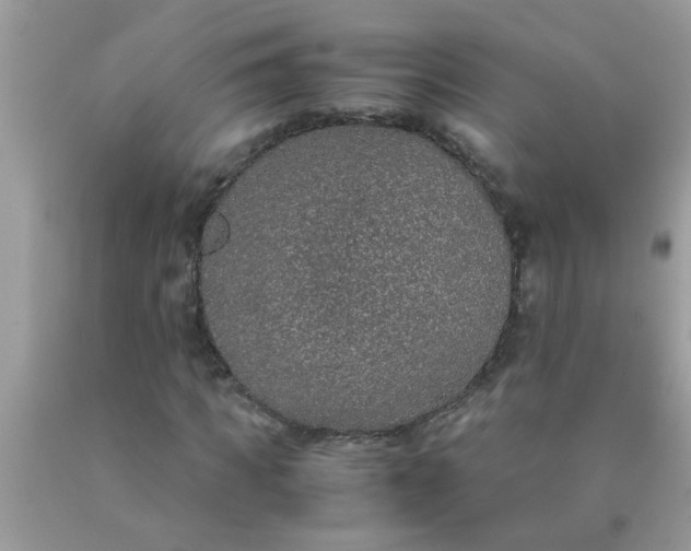 X0000090470917200707272255