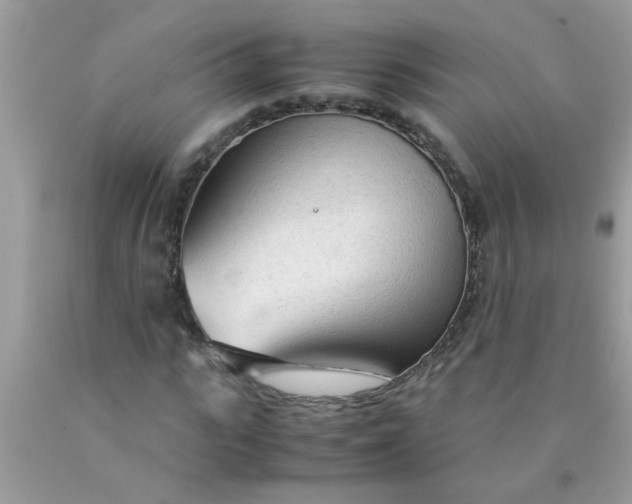 X0000090470919200707272255