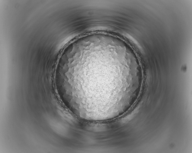 X0000090470921200707272255