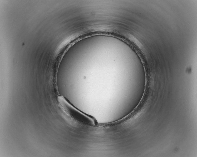 X0000090470922200707272255