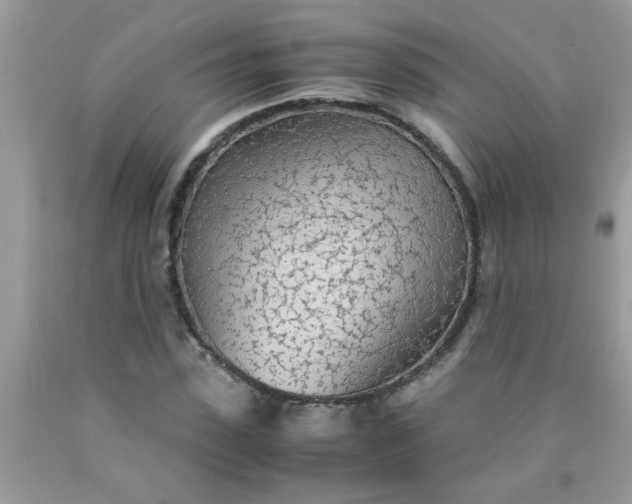 X0000090470923200707272255