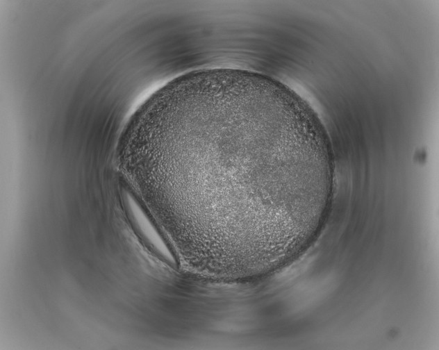 X0000090470925200707272255