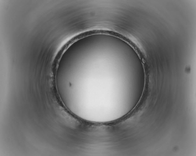 X0000090470926200707272255