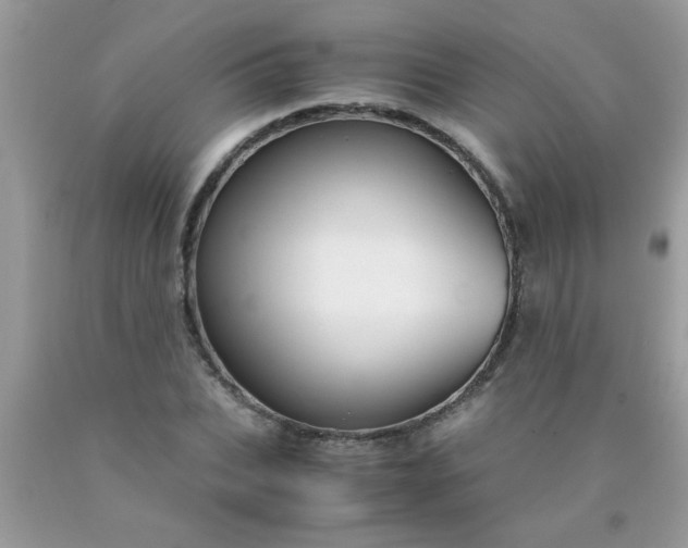 X0000090470927200707272255