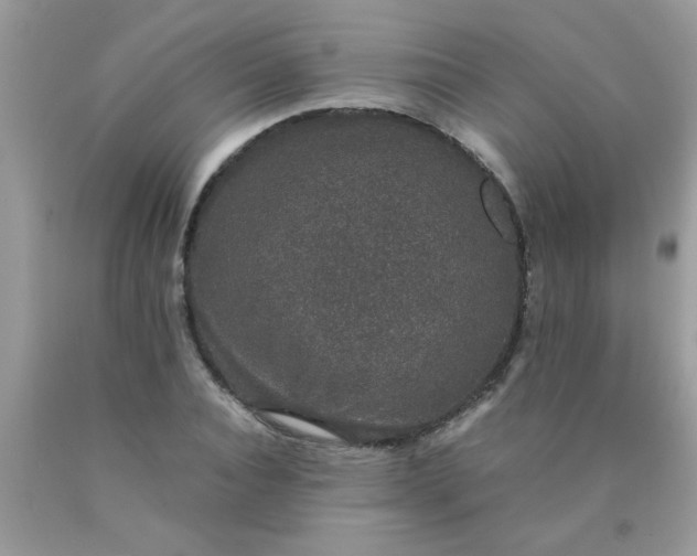 X0000090470928200707272255