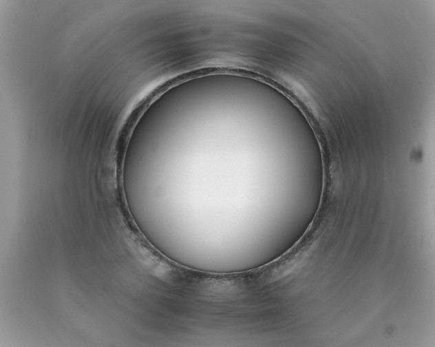 X0000090470931200707272255