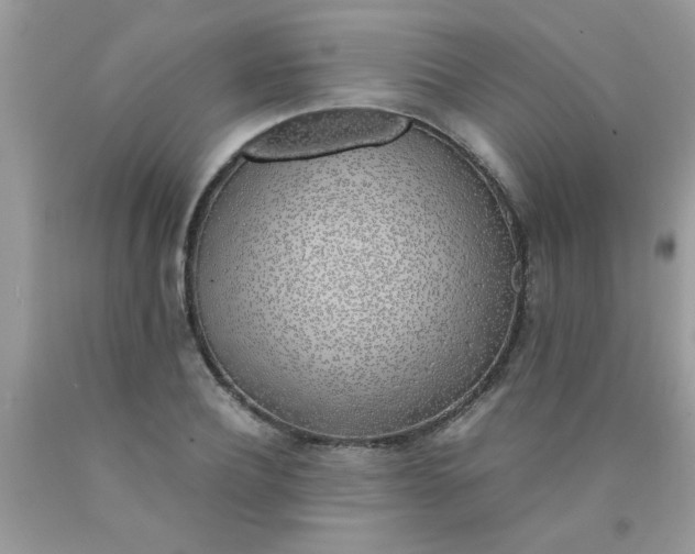 X0000090470932200707272255