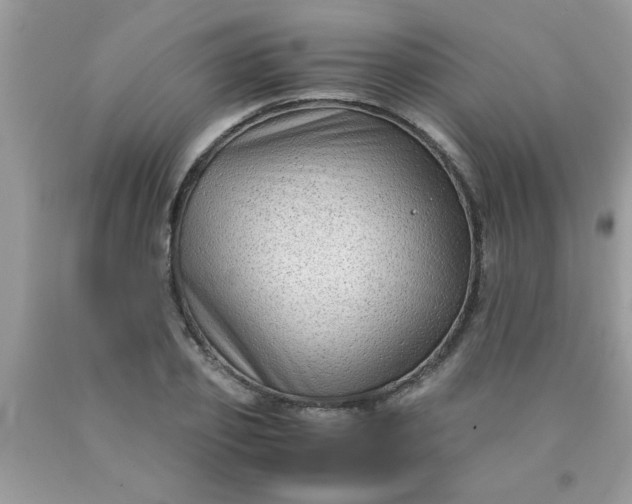 X0000090470933200707272255