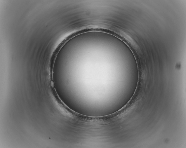 X0000090470934200707272255